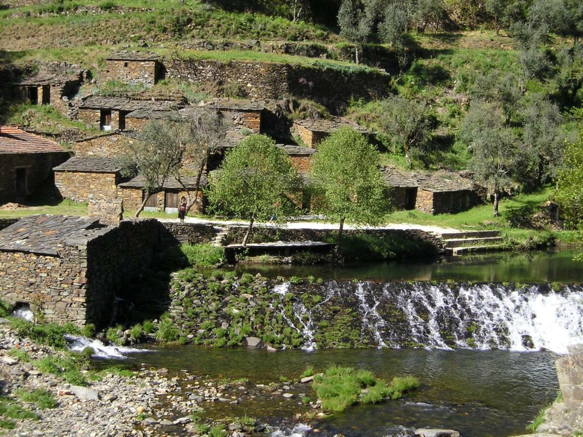 A Charming , Traditional Cottage at Quinta da Ribeira Vila Nova de Poiares Esterno foto
